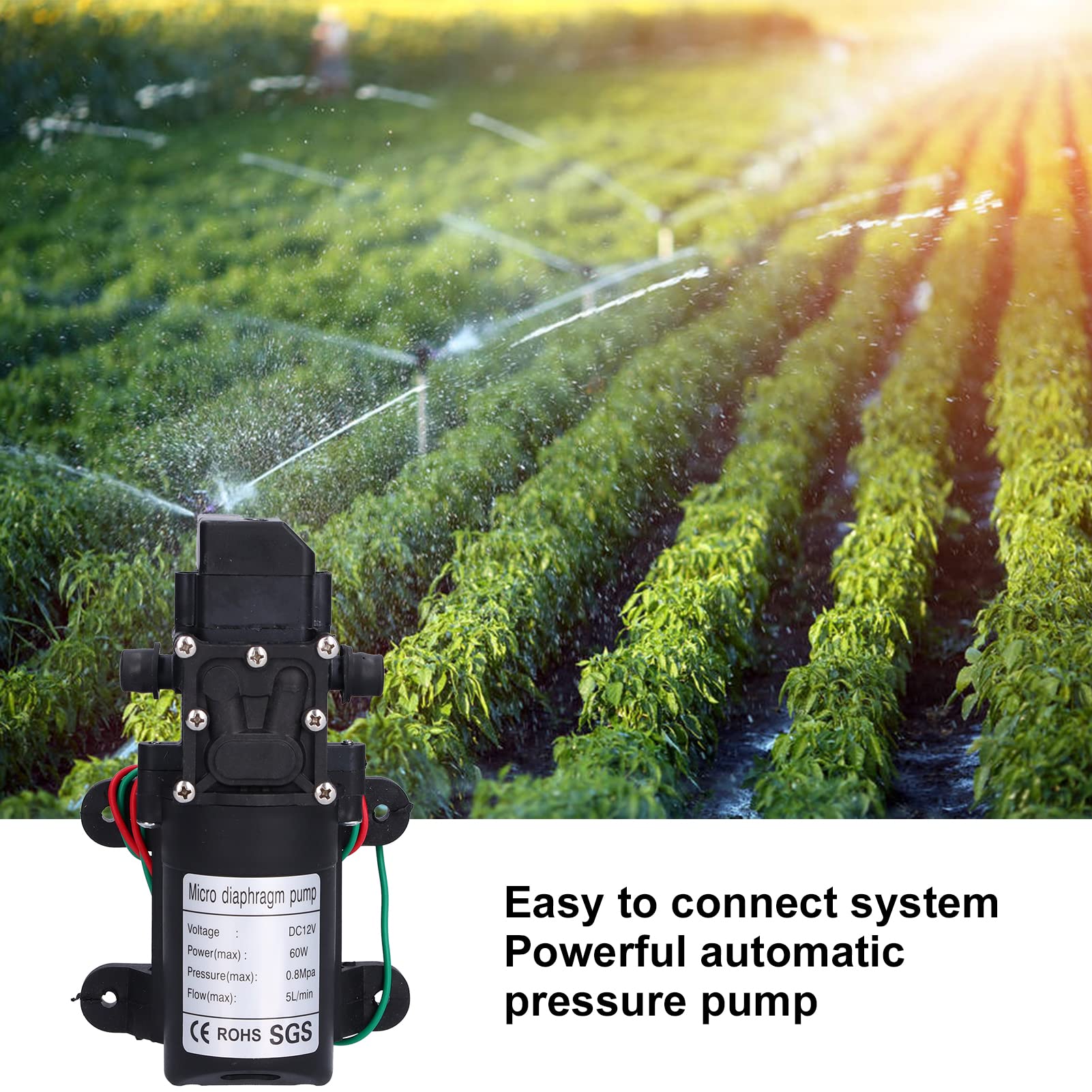 Pompe à membrane à pression d'eau, démarrage automatique à amorçage automatique, pompe de pulvérisation d'appoint facile à connecter pour piscines pour irrigation de jardin