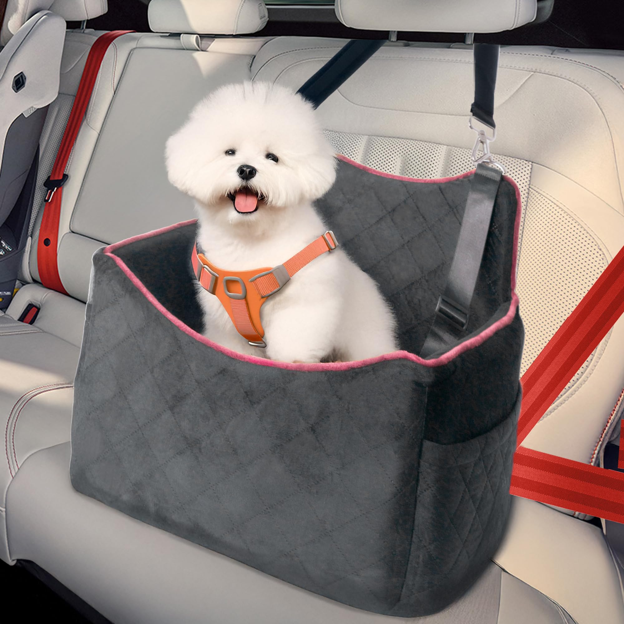 Dog Car Seat for Medium Sized Dogs 30 lbs, Safety Dog Booster Seat for Small Dogs Hooks to The Seatbelt & with Elevated Cushion, Waterproof Washable
