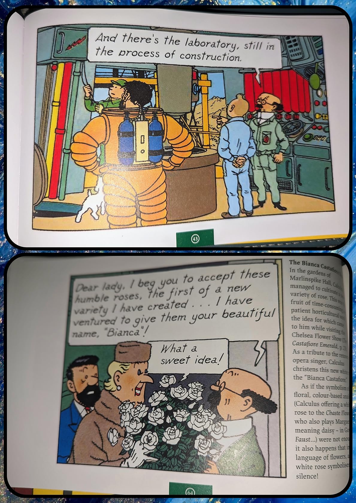Professor Calculus Inventions Tintin - Professor Calculus: Science's Forgotten Genius : HERGE: Amazon ...