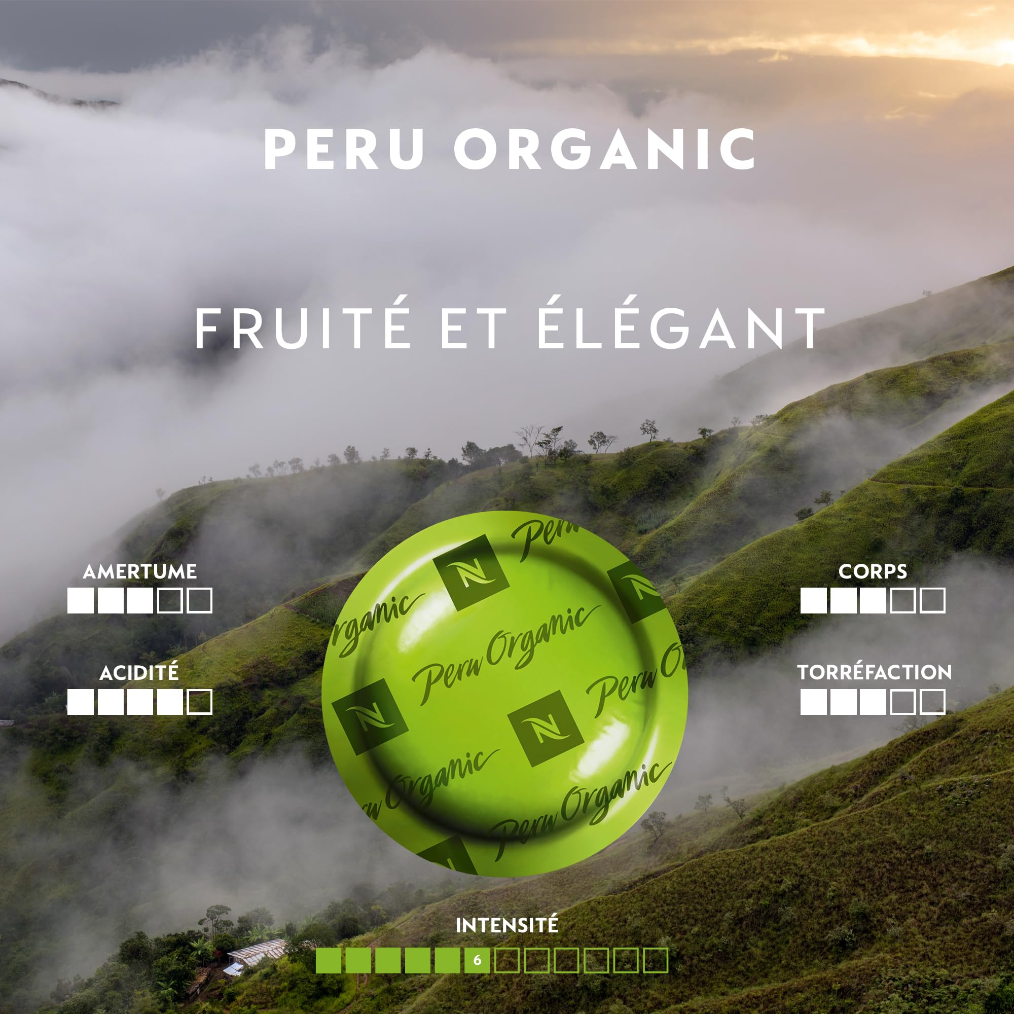 Nespresso Professionnel - Bundle 200 Capsules cafés - Single ORIGINS : 50x Peru / 50x Indonesia / 5Ox Guatemala / 50x Brazil - Adapté aux professionnels