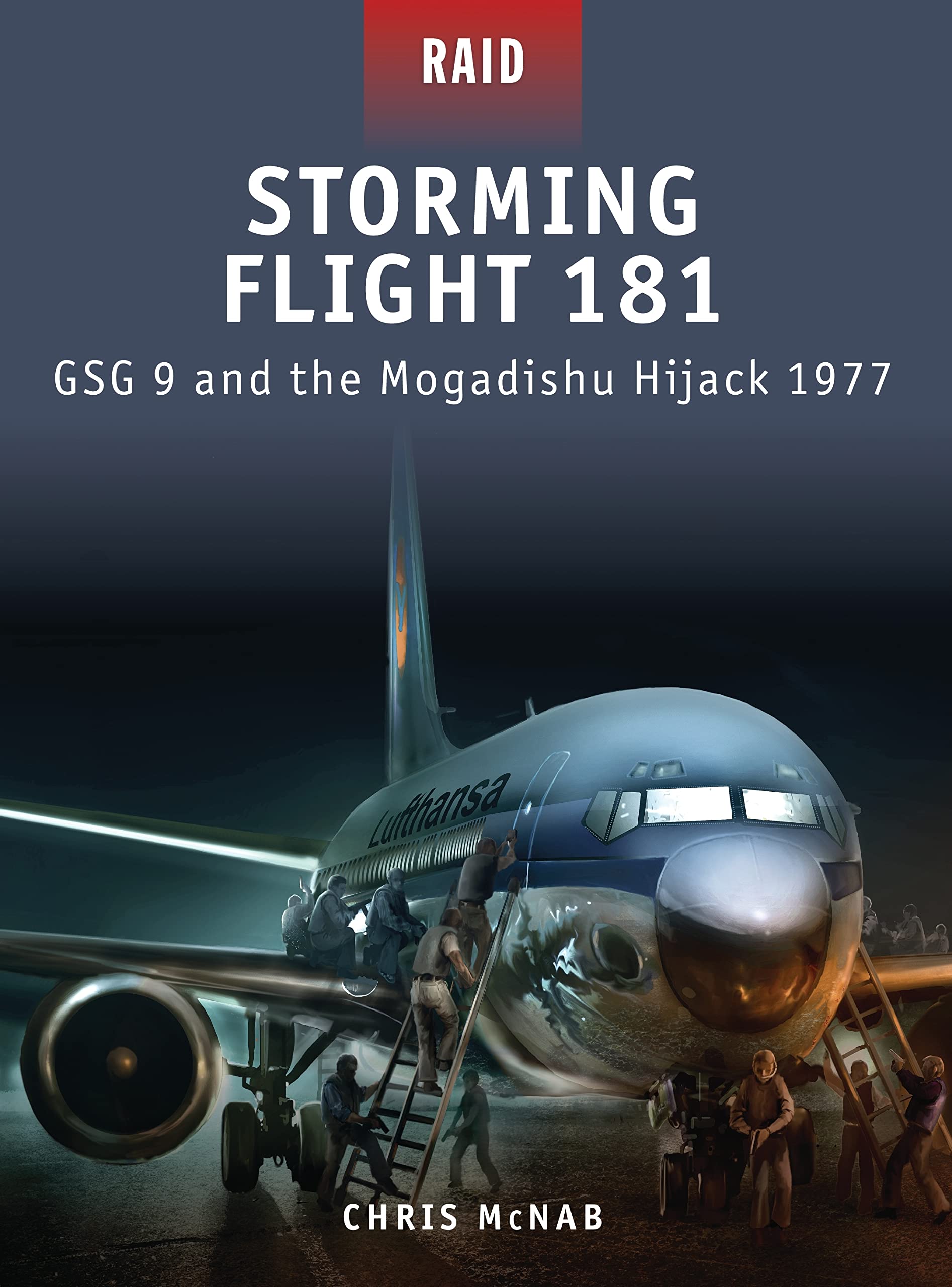 Storming Flight 181: GSG 9 and the Mogadishu Hijack 1977: 19