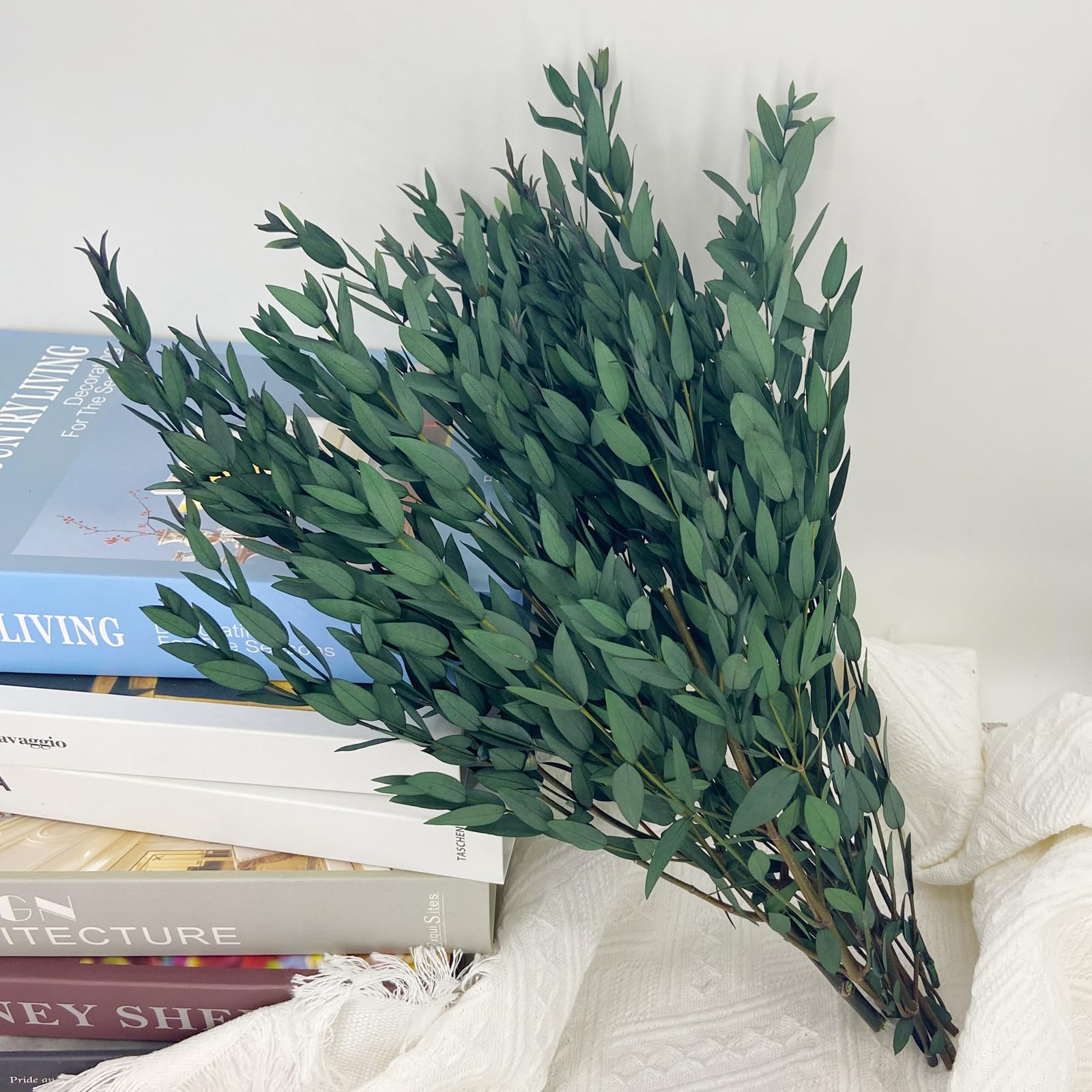 Lot de 20 tiges d'eucalyptus séchées préservées - 40,6 cm - Pour arrangements de vases, décoration d'intérieur, accessoires photo, fêtes et mariages, décoration à faire soi-même (vert)