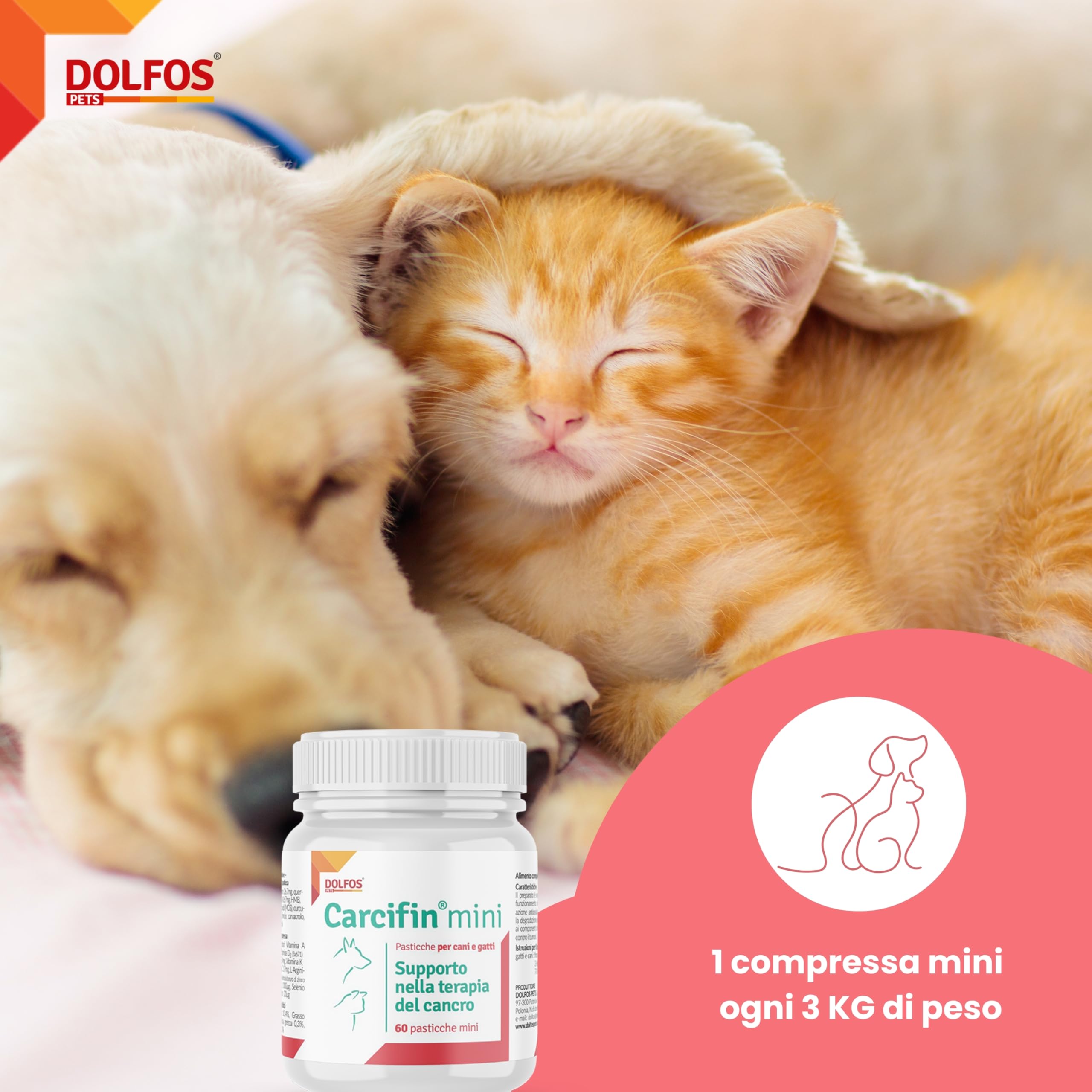 Dolfos Carcifin 60 Mini Compresse, Integratori per Cani Supporto Oncologico con Curcumina e Quercetina, Integratori per Cani Terapia Antitumorale e Sistema Immunitario