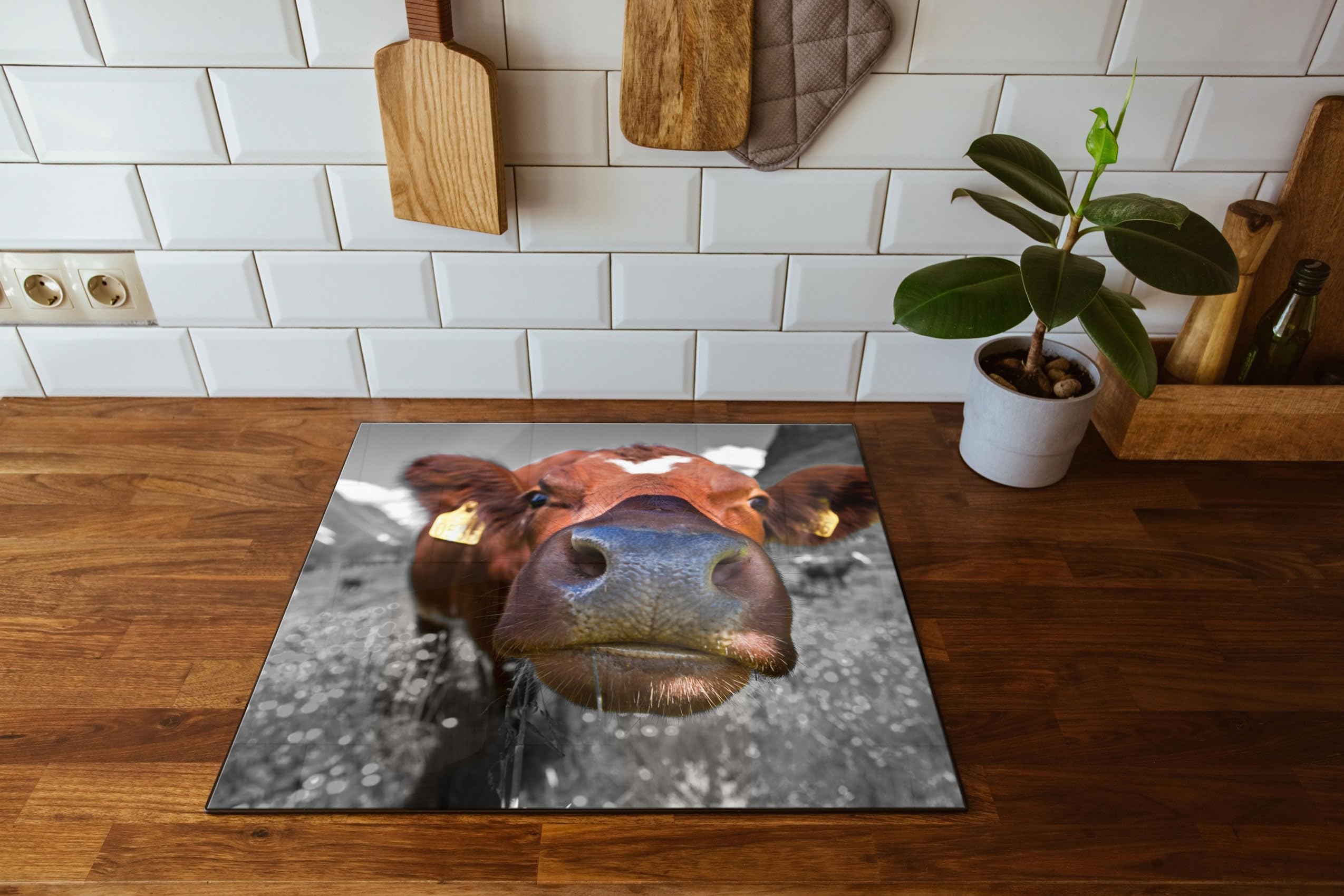 ausgewachsene Kuh auf Bergwiese Herdabdeckplatte & Spritzschutz aus Echtglas | Für Herd-Kochfelder | 60x52 cm