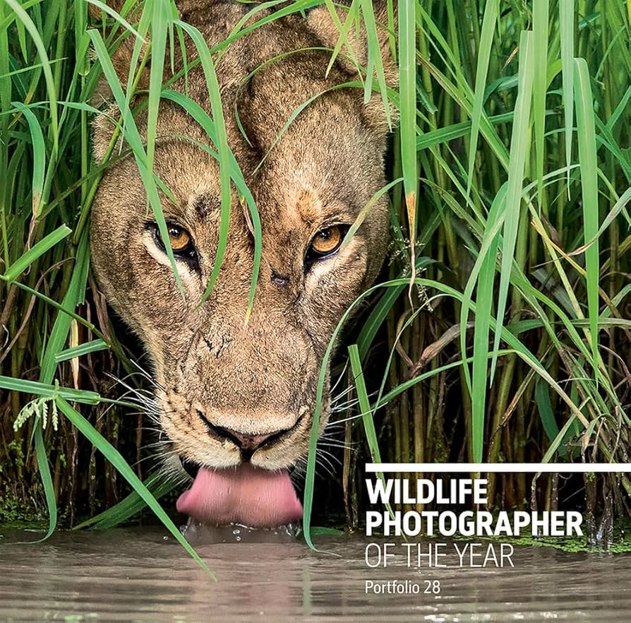 写真集 Wildlife Photographer of the Year 6冊 写真集 Wildlife Photographer of the Year 6冊 写真集 Wildlife