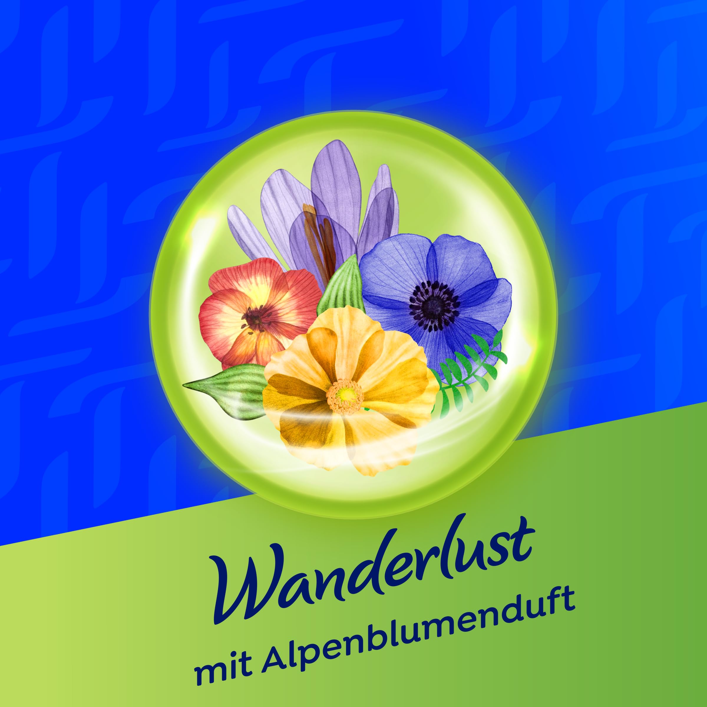 Tempo Duftbox Limited Edition - 12 Boxen mit je 90 Tüchern - samtig weich, waschmaschinenfest und biologisch abbaubar
