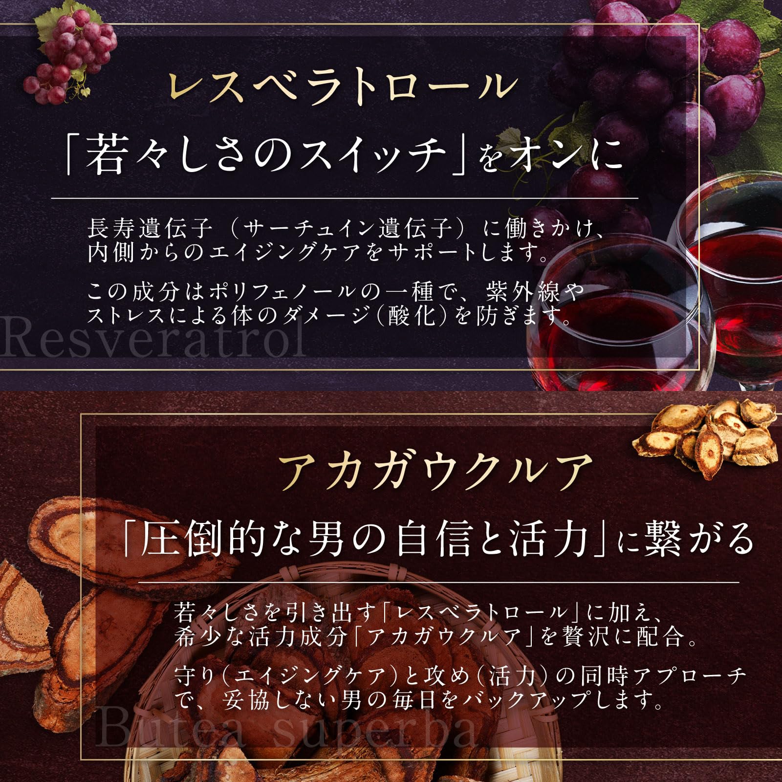 MENLABOVITOX α EXTRA Edition シトルリン アルギニン マカ