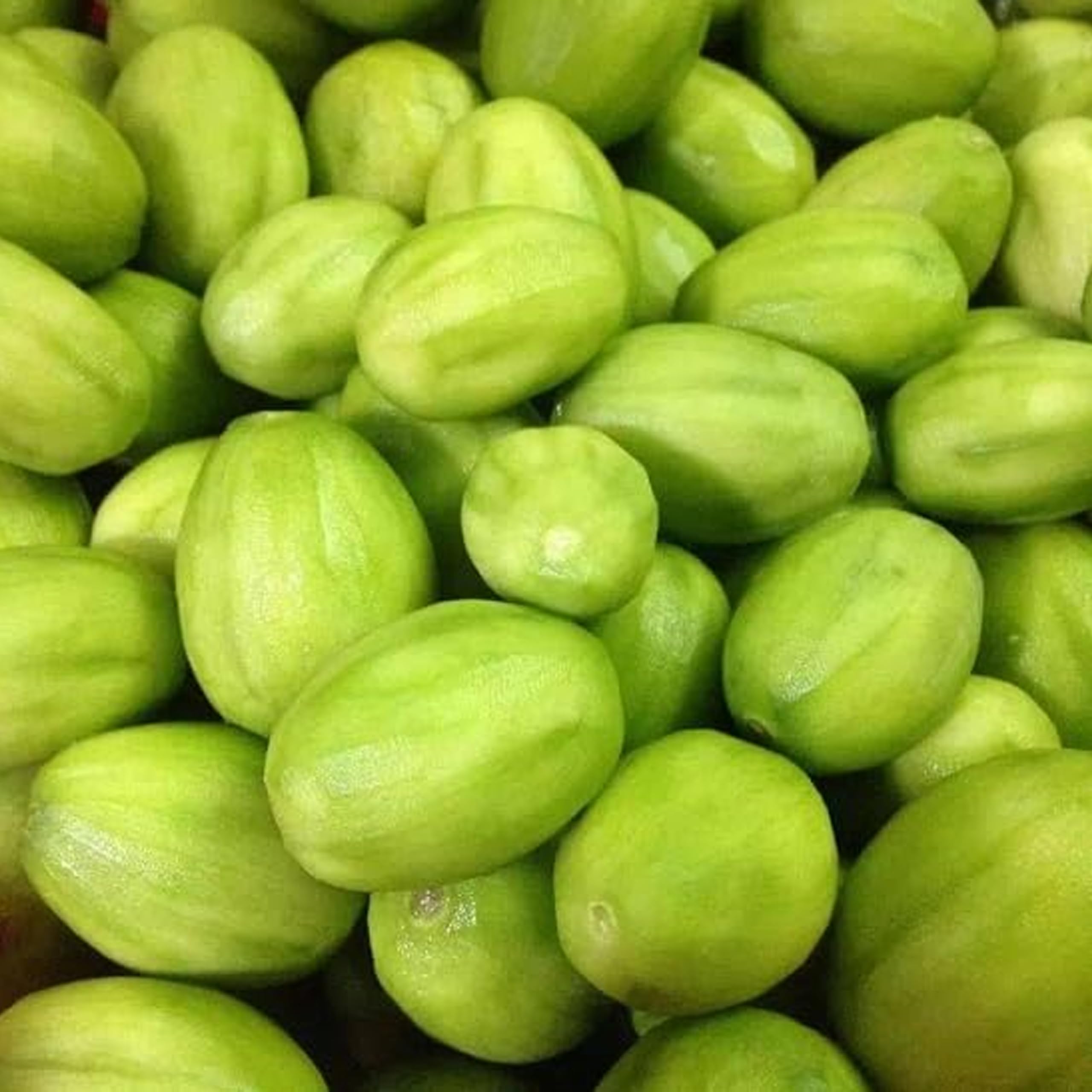 Fresh and Delicious June Plums, also known as green ambarella or green jobo fruit, 3 LBS.