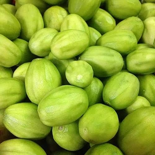 Ciruelas de junio frescas y deliciosas, también conocidas como ambarella verde o fruta jobo verde, 3 libras, envío de 2 días.