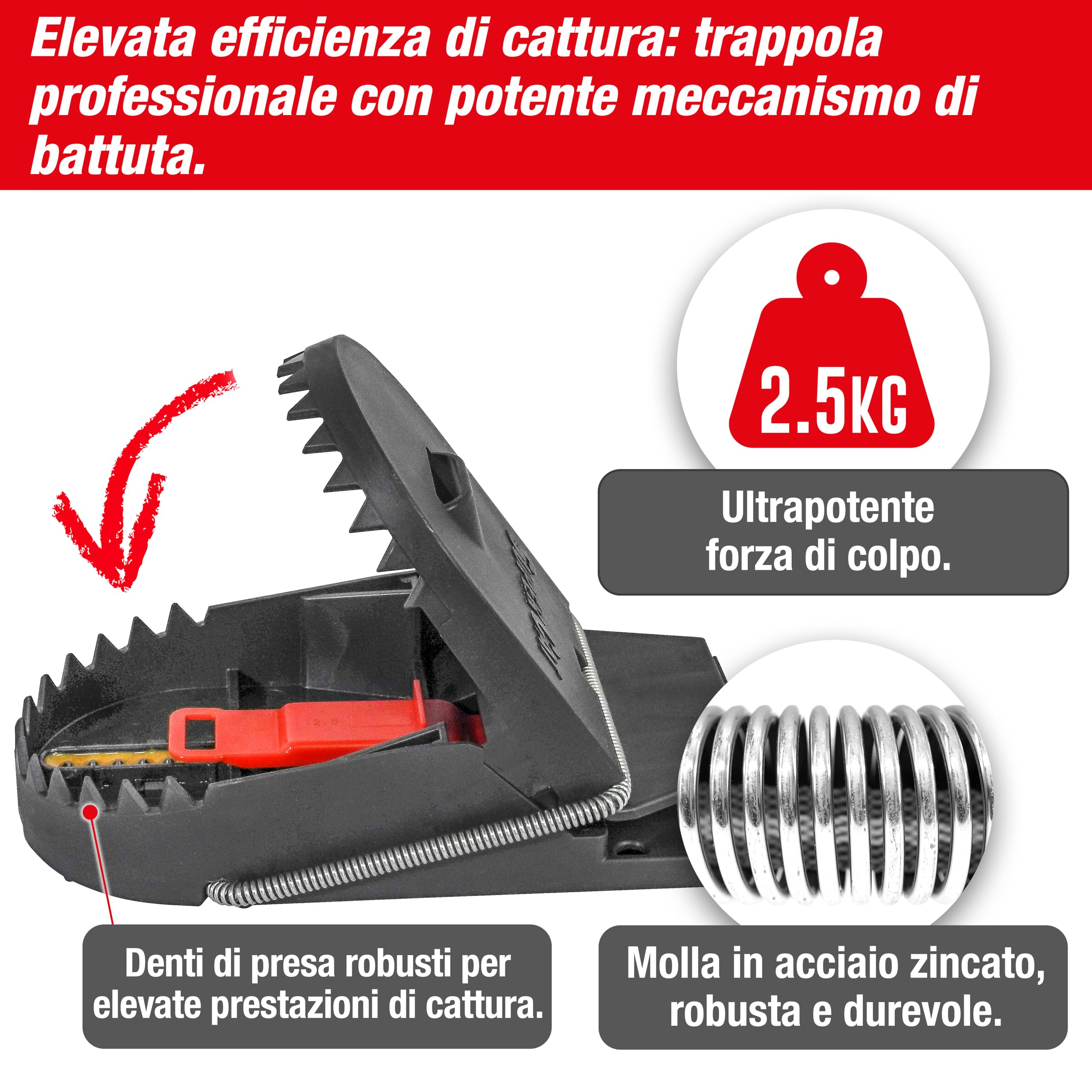 SWISSINNO Trappola per Ratti PRO SuperCat – Trappola Riutilizzabile e Affidabile – Eliminazione Rapida e Precisa – Con Esca al Burro di Arachidi - 2 Trappole