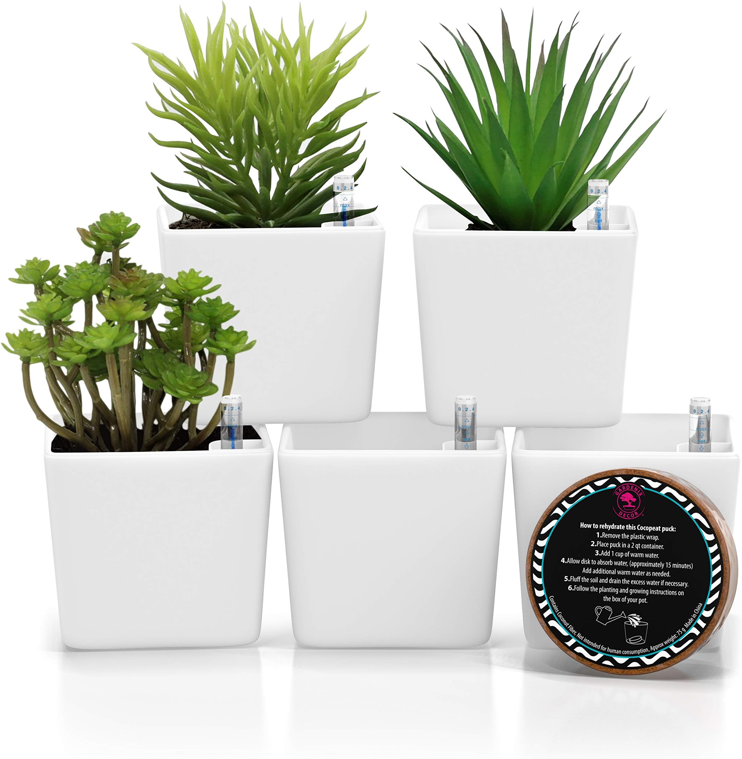 3.5" Plant pots self-watering succulent pots – Easy succulent planters pots for plants – Perfectly watered over 10 days for happy, healthy plants – Water level indicator + coco fiber pellet - White