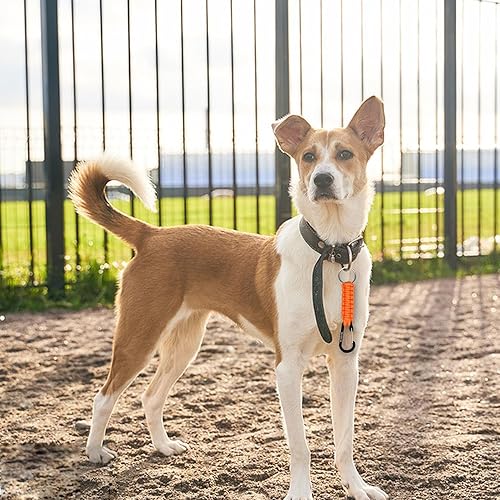 Miniatura 5 de BRAVESHINE Llavero de paracaídas con clip para mosquetón, anillo en D, gancho para cochecito para botella de agua, llaves, mochilas, hombres, mujeres