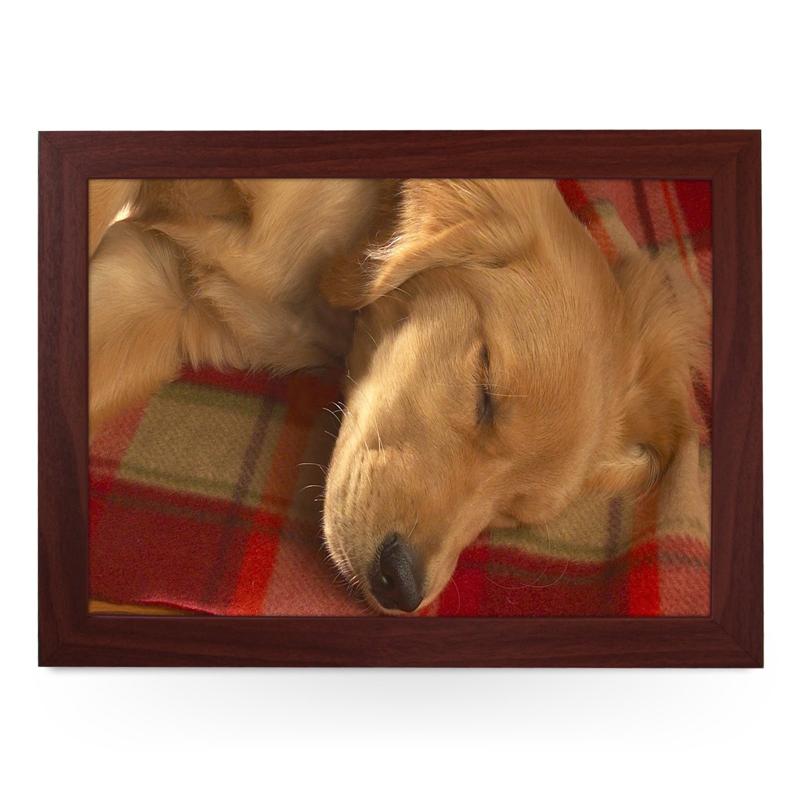 Portable Lap Desk Tray (Sleeping Golden Retriever) Handmade Wooden Frame, Beanbag Cushioned Bottom | Computers, Laptops, Meals, Food | L0041 Brown