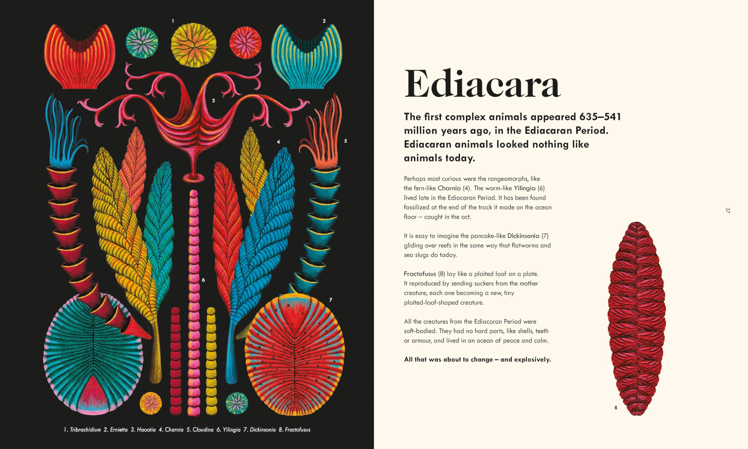 The Wonder of Life on Earth: A beautifully illustrated story of our planet, evolution and you, by the winner of the Royal Society Science Book Prize