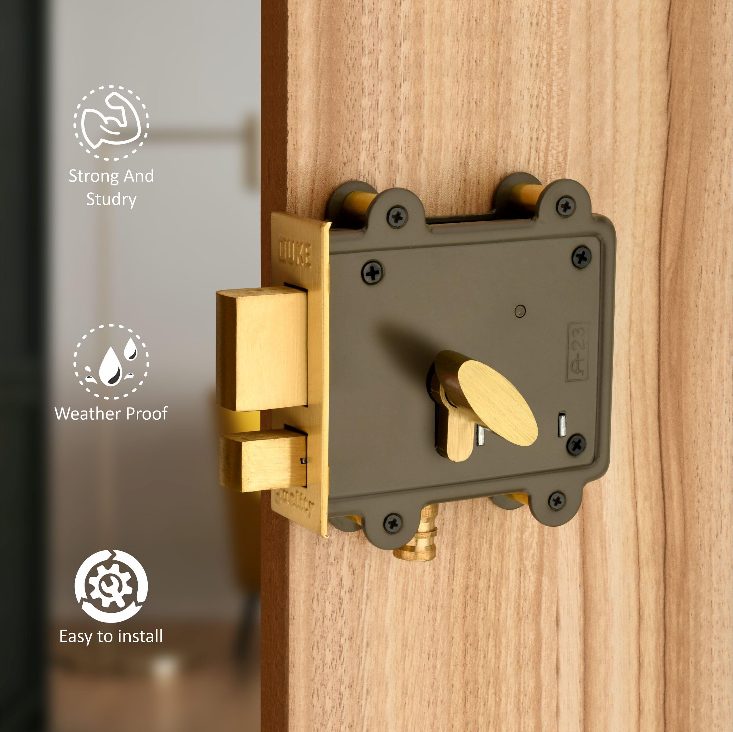 Duke DUKE2000 Key Main Door Lock (Grey) Metallic Finish — Amazon image 2