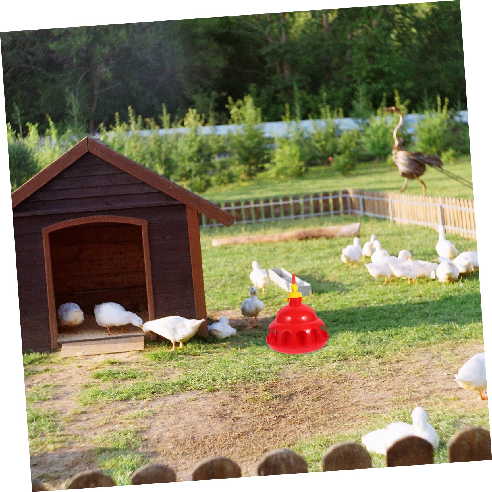 POPETPOP Bebedero Automático para Pajaros Bebedero para Gallinas Sistema De Doméstico y