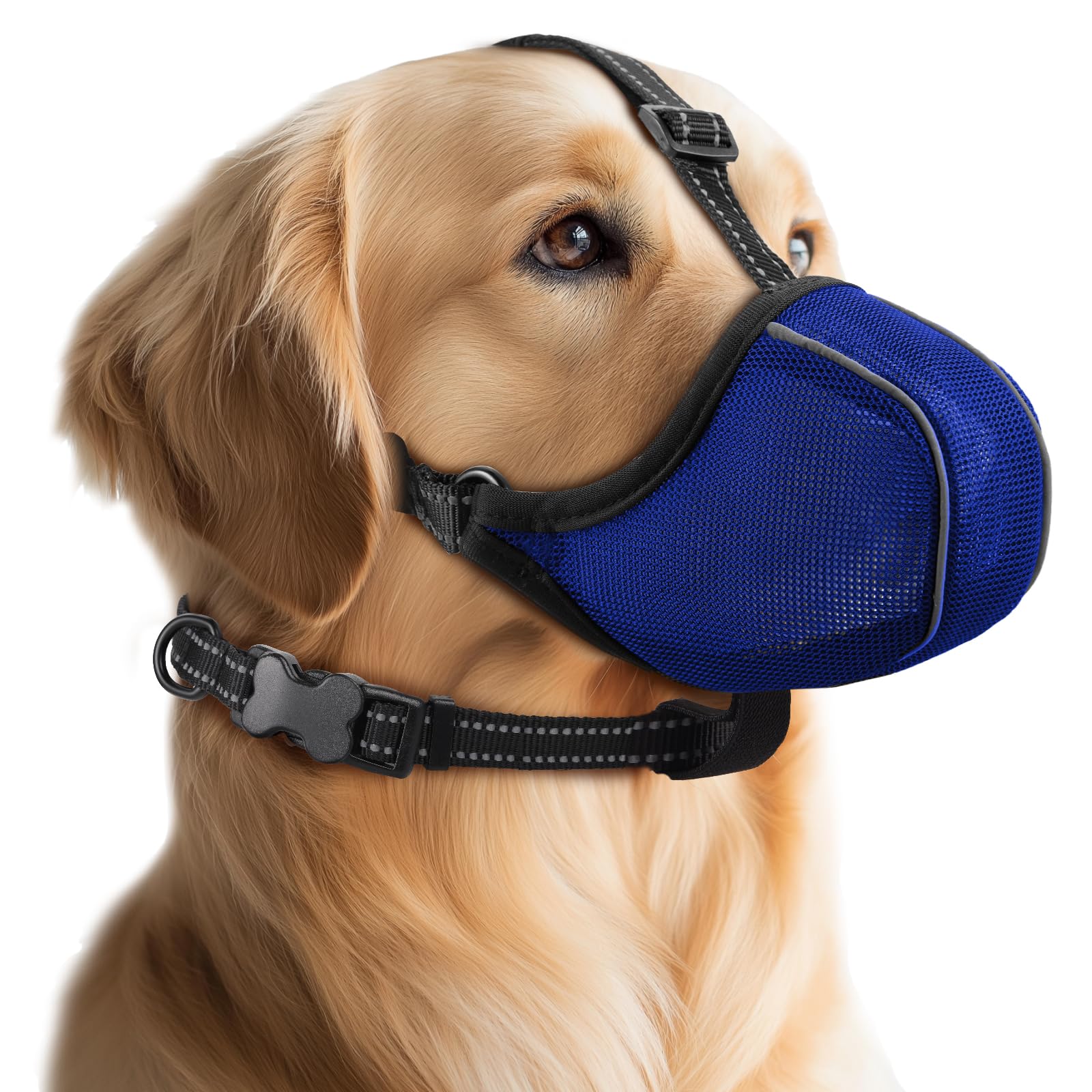 Dog Muzzle - Soft Breathable Mesh Nylon Adjustable Muzzle for Small Medium Large Dogs | Prevents Chewing,Biting &amp; Scavenging | Allows Panting, Drinking &amp; Grooming | Secure Collar Strap Design(Blue M)