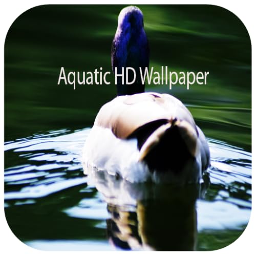 Aquatic Wallpaper HD