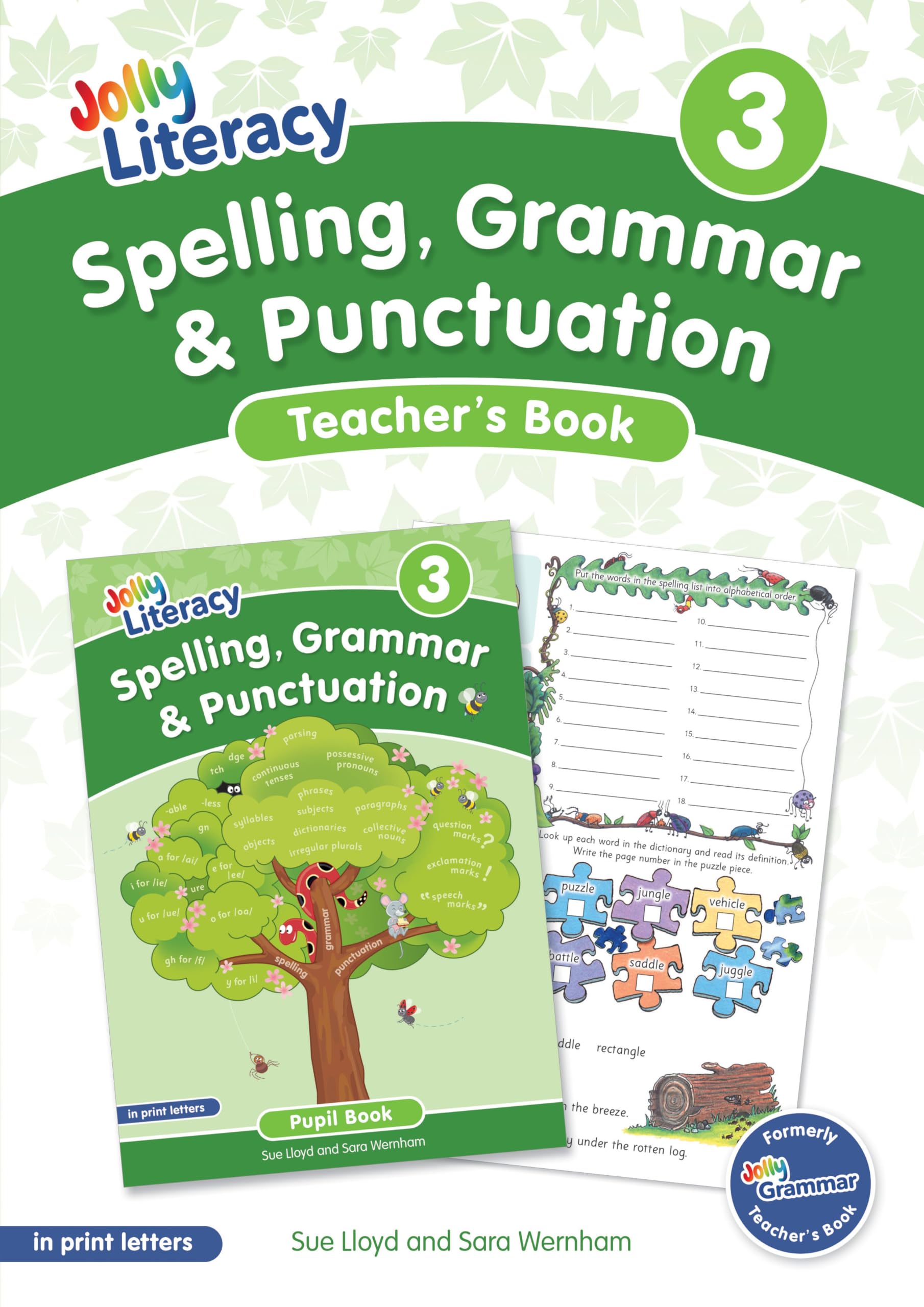 Spelling Grammar  Punctuation Teacherâs Book 3 by Sue Lloyd PAPERBACK