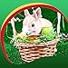 Fonds d'écran de Pâques Live