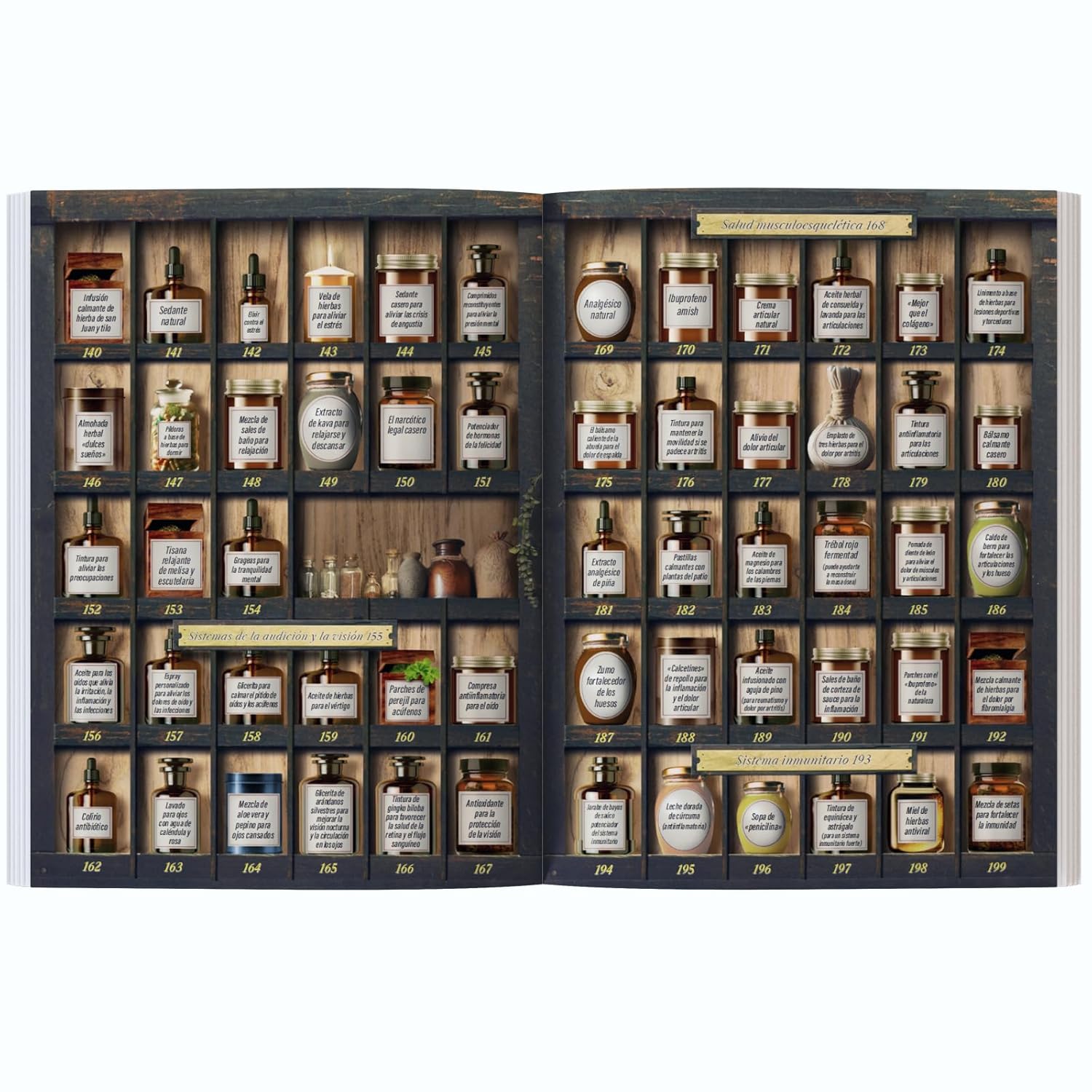 La Botica Casera Olvidada: 250 poderosos remedios al alcance de tu mano      Paperback – December 1, 2025