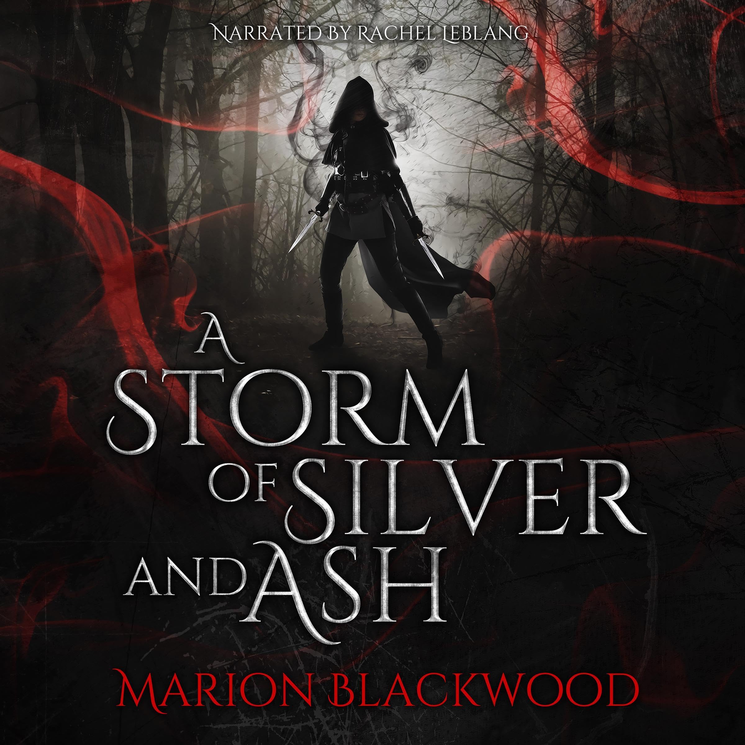 Cover art for A Storm of Silver and Ash