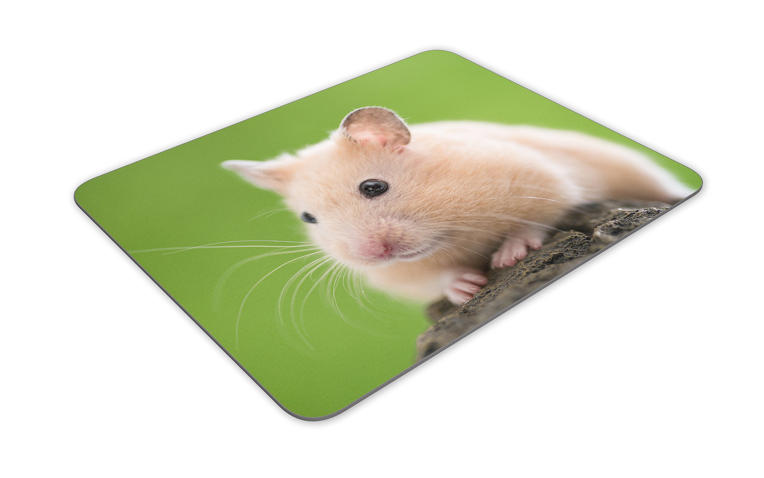 Adorabile Criceto Tappetino mouse pad - roditori mamma Suor regalo dei capretti PC Computer # 8277