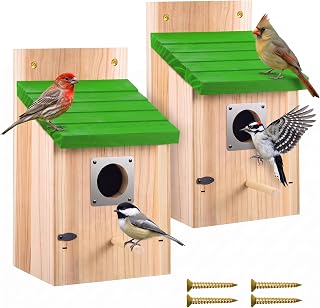 CHILDLION Bird Houses 2 Pack