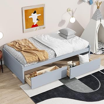 Bellemave Twin Size Solid Rubber Wood Storage Bed with 2 Drawers - Modern Platform Bed Frame with Underbed Storage, Grey