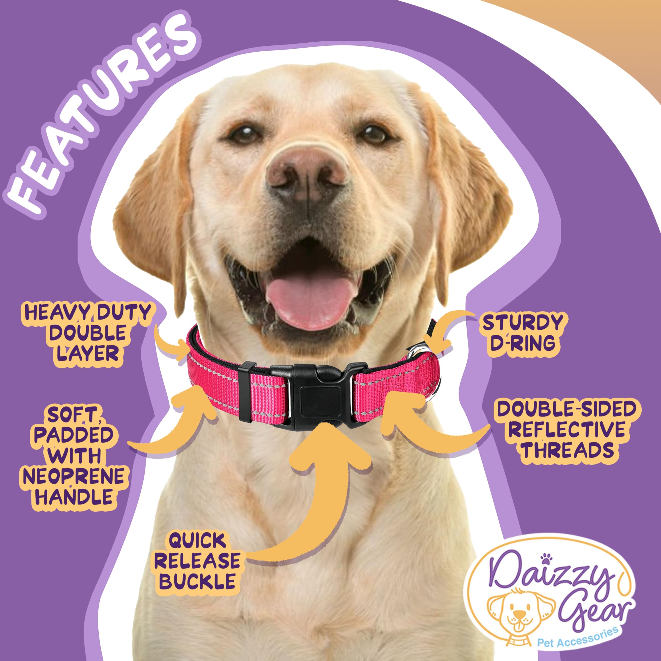 Daizzy Gear Reflective Dog Leash, Collar and Poop Bag Holder Bundle - Adjustable Durable Collar 5ft Leash for Small, Medium, Large Dogs - Soft-Handed with Padded Comfort for Evening Night Walks