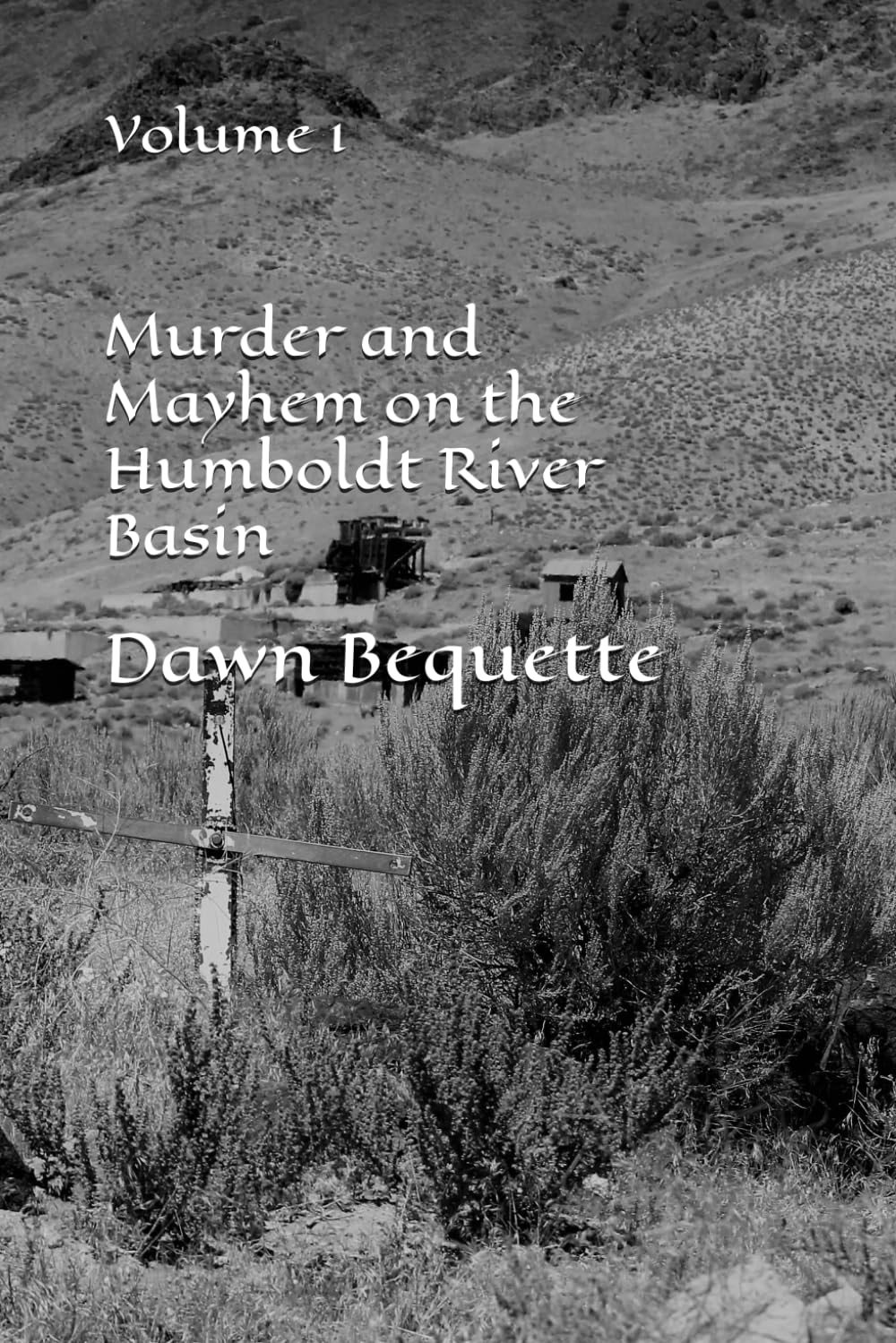 Murder and Mayhem on the Humboldt River Basin: Volume 1