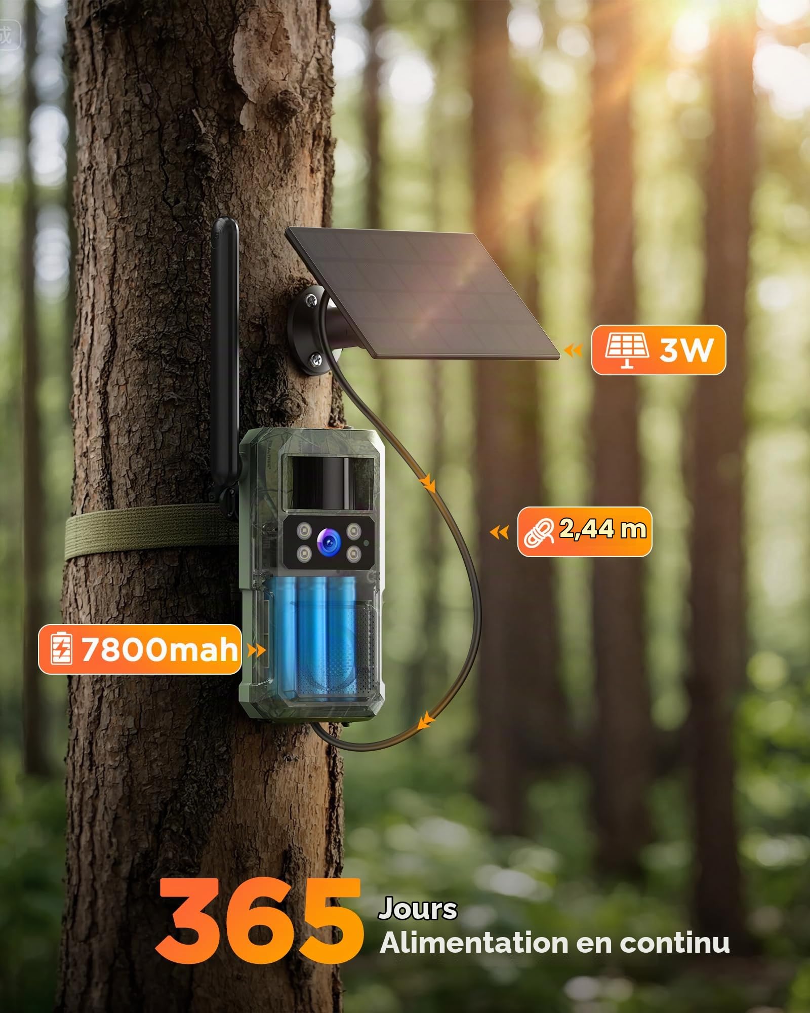 BECAMSO 4G LTE Camera de Chasse Solaire: 2.7K HD Caméra Surveillance Exterieur sans Fil - Couleur Vision Nocturne Animaux Cameras avec Carte SIM 8000mAh Batterie IP66 Imperméable