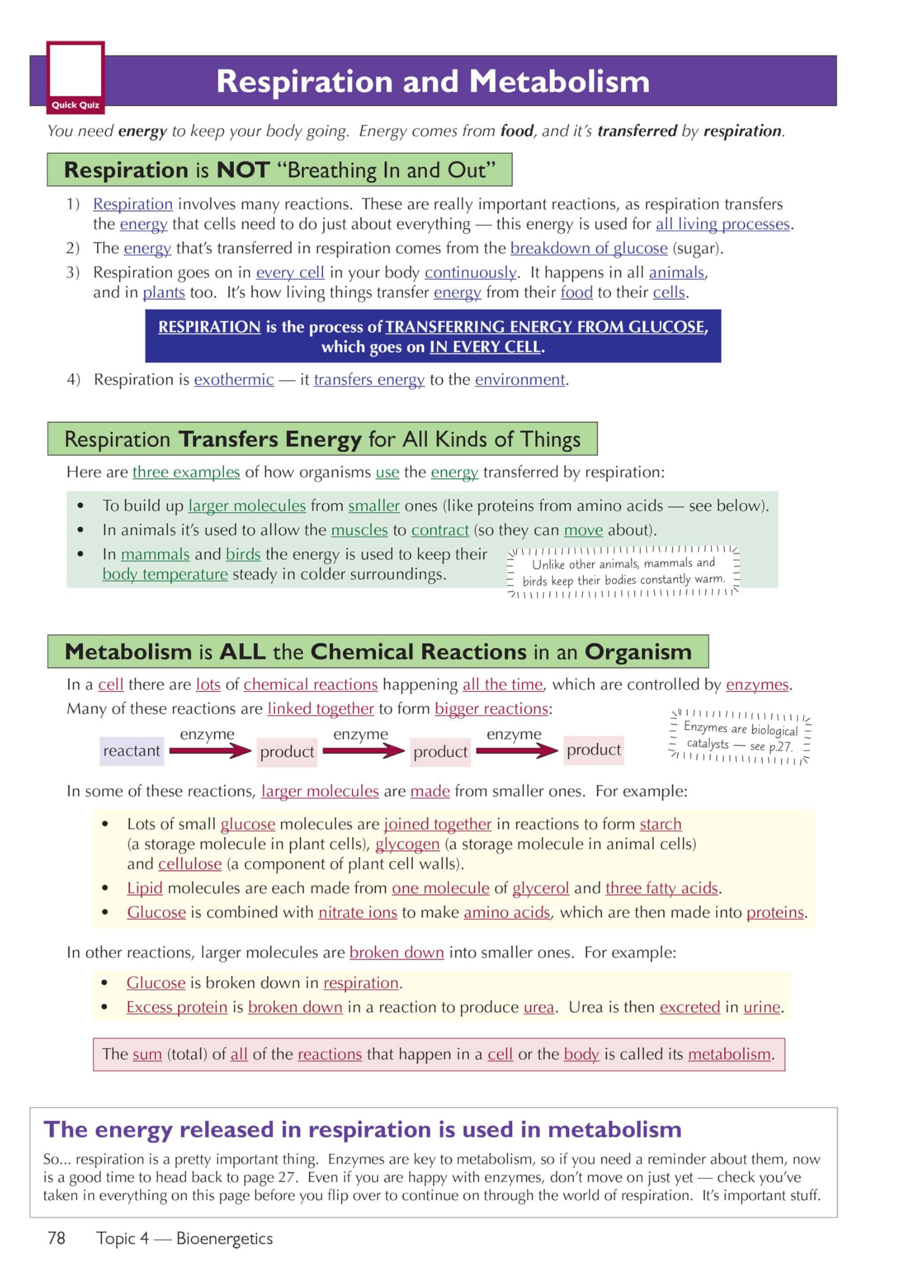 Grade 9 1 GCSE Biol AQA Comp Rev & Pract - Image 19