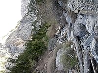 Review Image by Iron Eagle Iron Eagle