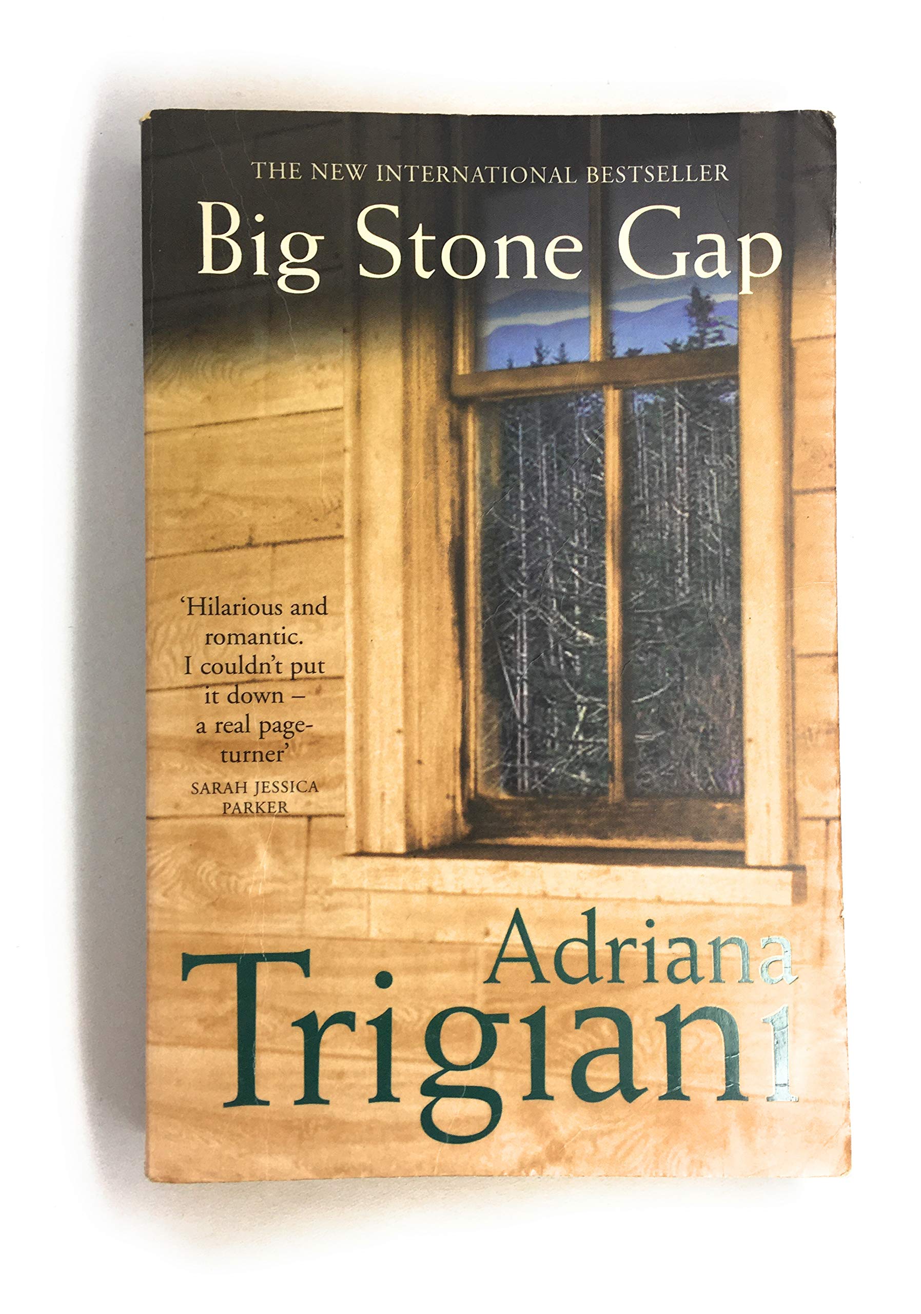 Big Stone Gap: A Novel (Big Stone Gap Saga 1) By  Adriana Trigiani
