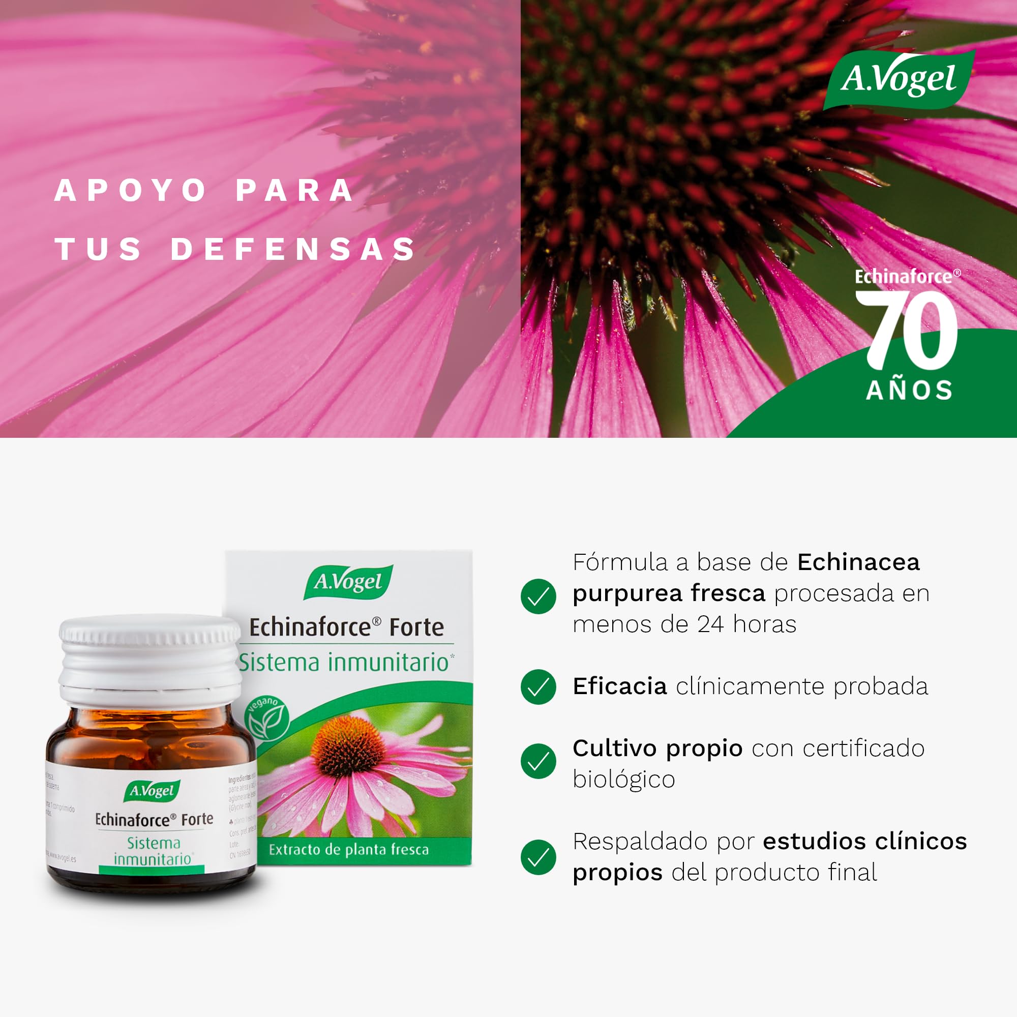 A.Vogel Echinaforce Forte, Apoyo tu Sistema Inmune, Extracto de Planta Fresca, Echinacea Purpurea, Cultivo Biológico Certificado, 30 comprimidos