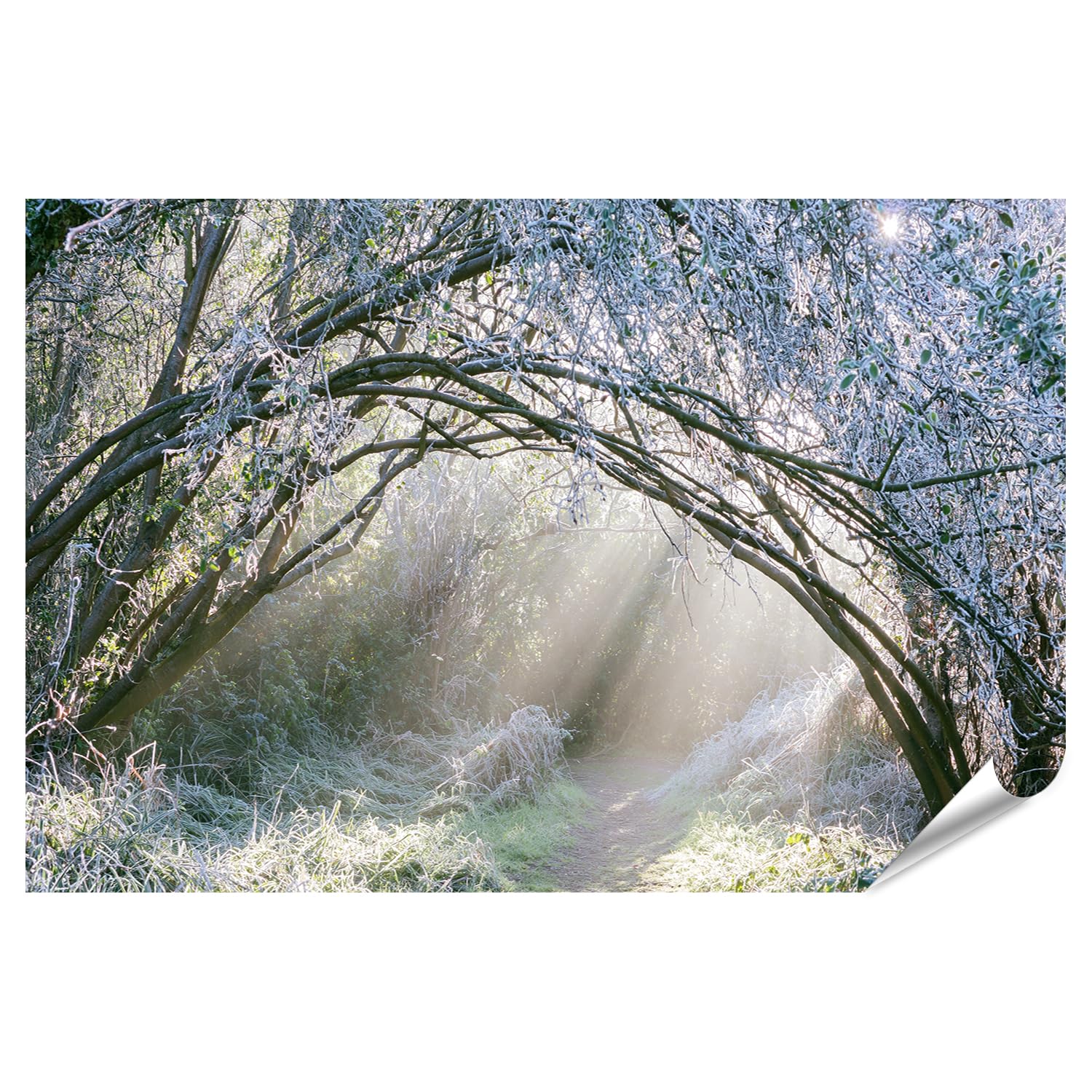 islandburner Póster premium de ensueño sendero invernal, impresión artística para salón, decoración para amantes de la naturaleza, formato grande
