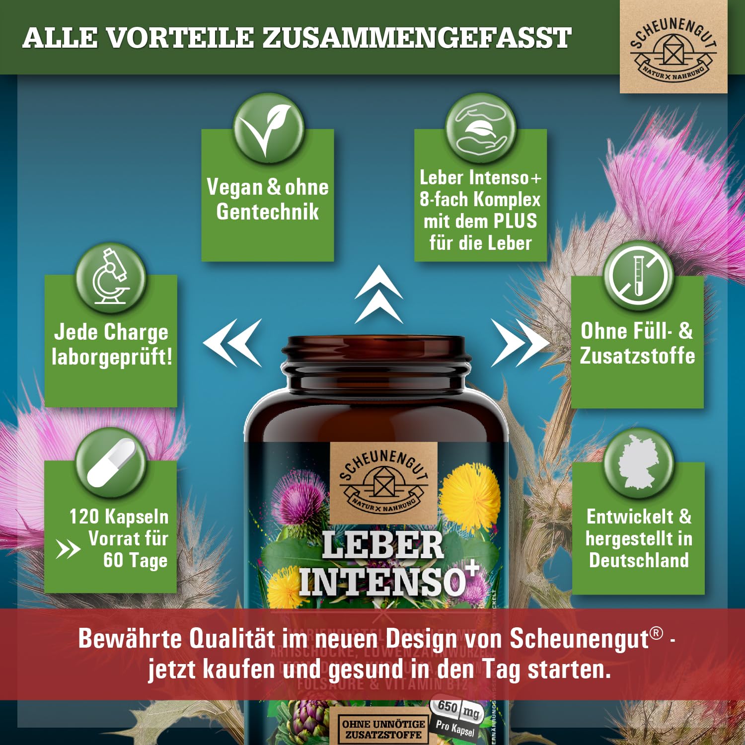 LEBER INTENSO®+ Leber Kapseln Hochdosiert -WICHTIG: Laborgeprüft mit Cholin, Mariendistel, Artischocke, Löwenzahn,Desmodium +80% Silymarin +5% Cynarin 120Stk DE SCHEUNENGUT®
