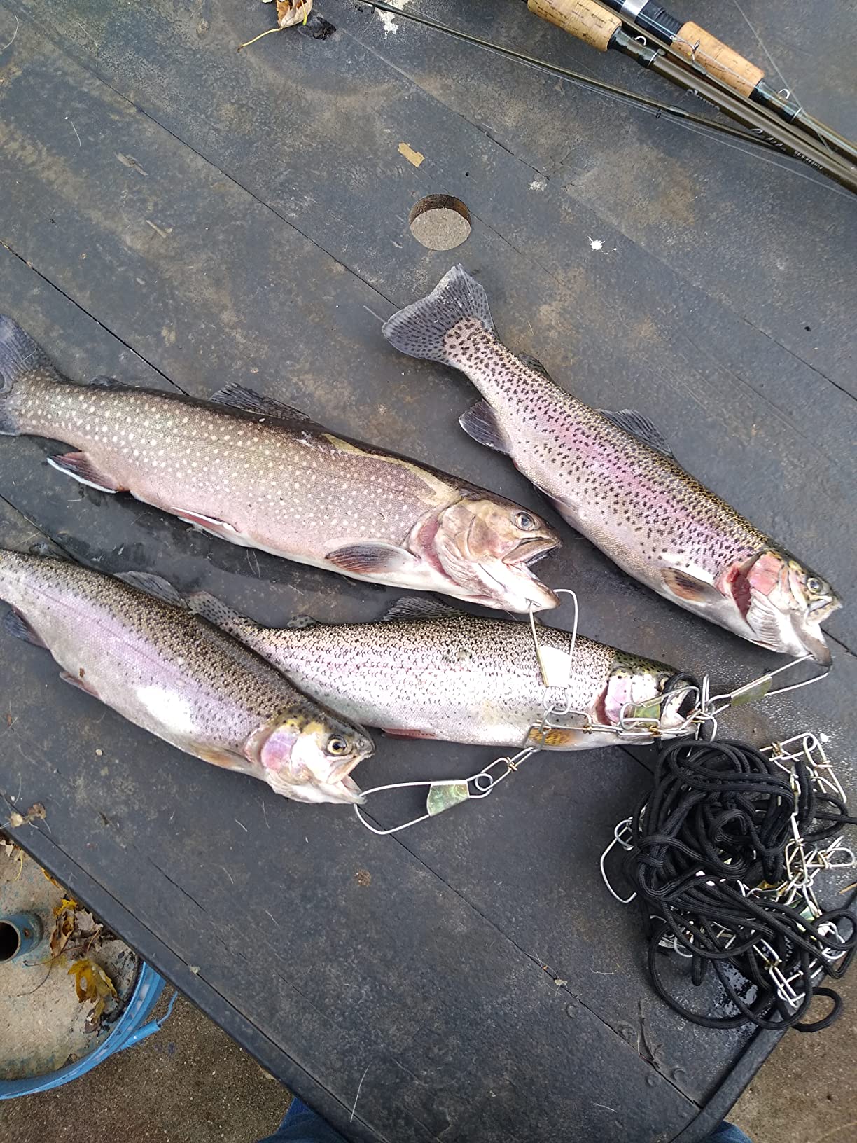 1/mo Finance Berkley PowerBait Natural Glitter Trout Dough Fishing