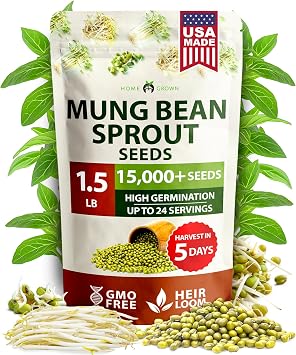HOME GROWN Mung Beans Seeds Pack 1.5 lb Over 15,000 Sprouting Seeds Grow Fresh Bean Sprouts or Microgreens for Quick, Easy, Nutrient-Packed Food for Your Daily Meals Vigna Radiata