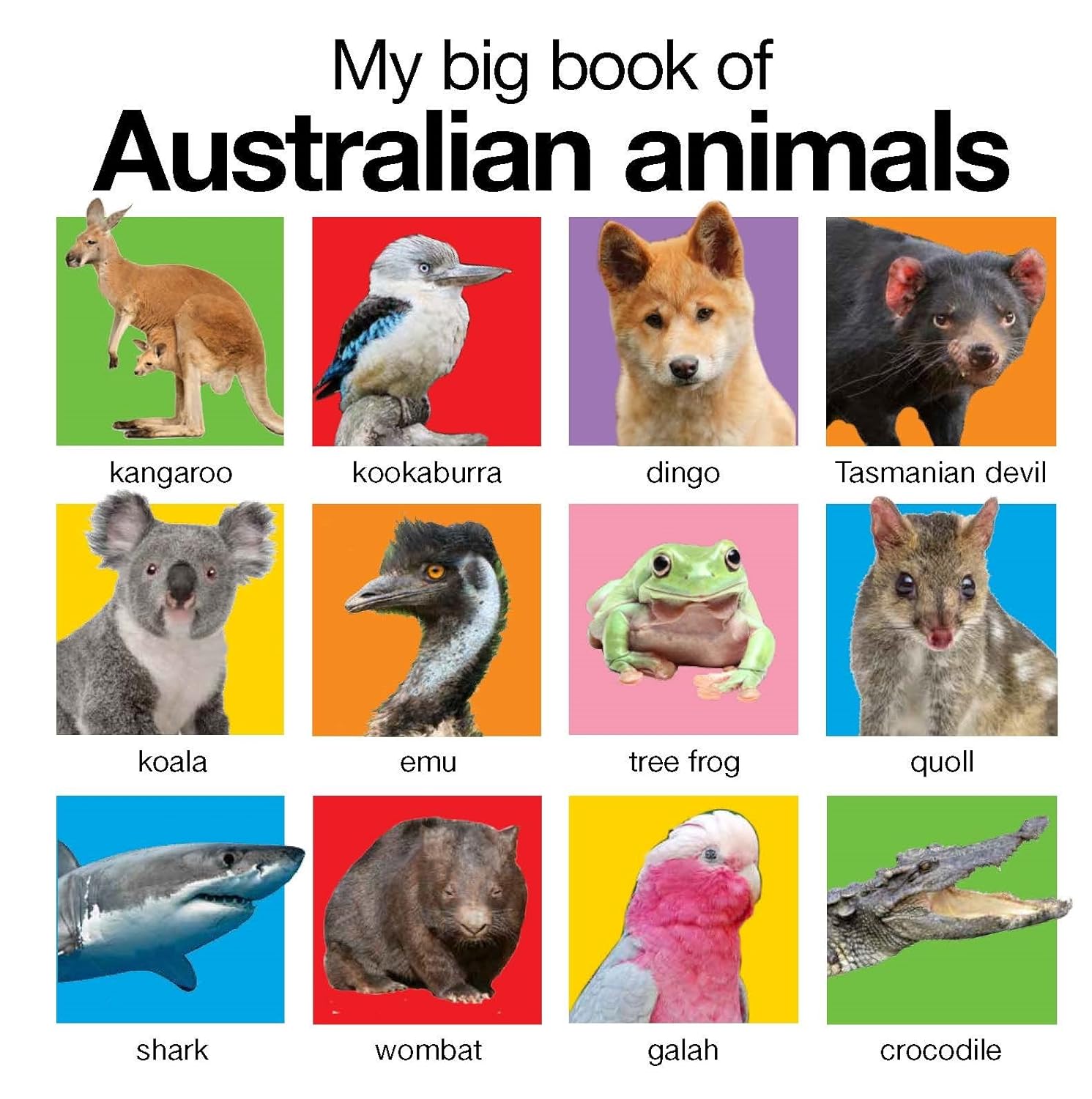 My Big Book of Australian Animals