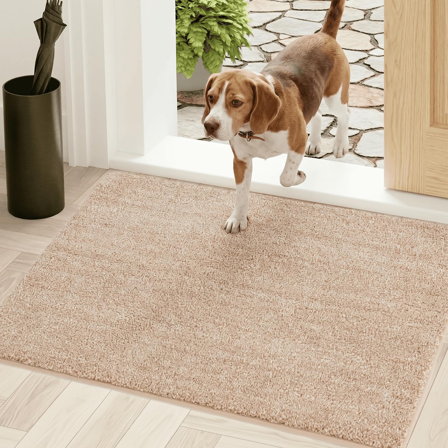 Oiilores Dirt Trapper Door Mat Indoor 60 x 90 cm, Washable Entry Rug, Inside Doormats for Entryway, Non-Slip, Super Absorbent Dog Mats for Muddy Paws, Pets, Beige