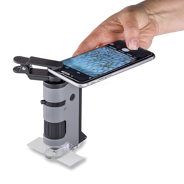 Foto 3 de 8 de Carson MicroFlip - Microscopio de bolsillo con luz LED y UV de 100 x 250 x con base deslizante abatible…