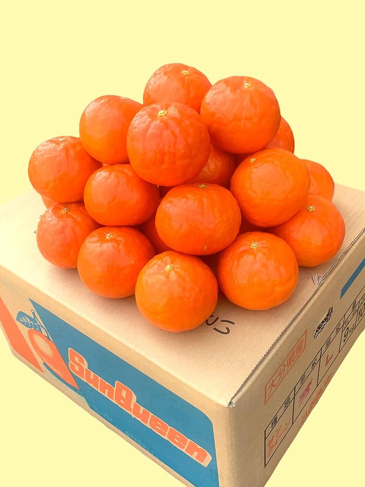 Amazon.co.jp: 【九州のみかん】10.0kg 最高級 サニー
