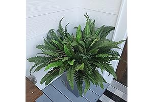 Set of 2 Faux Ferns for Outdoor/Indoor; Looking Real Artificial Boston Ferns for Planters