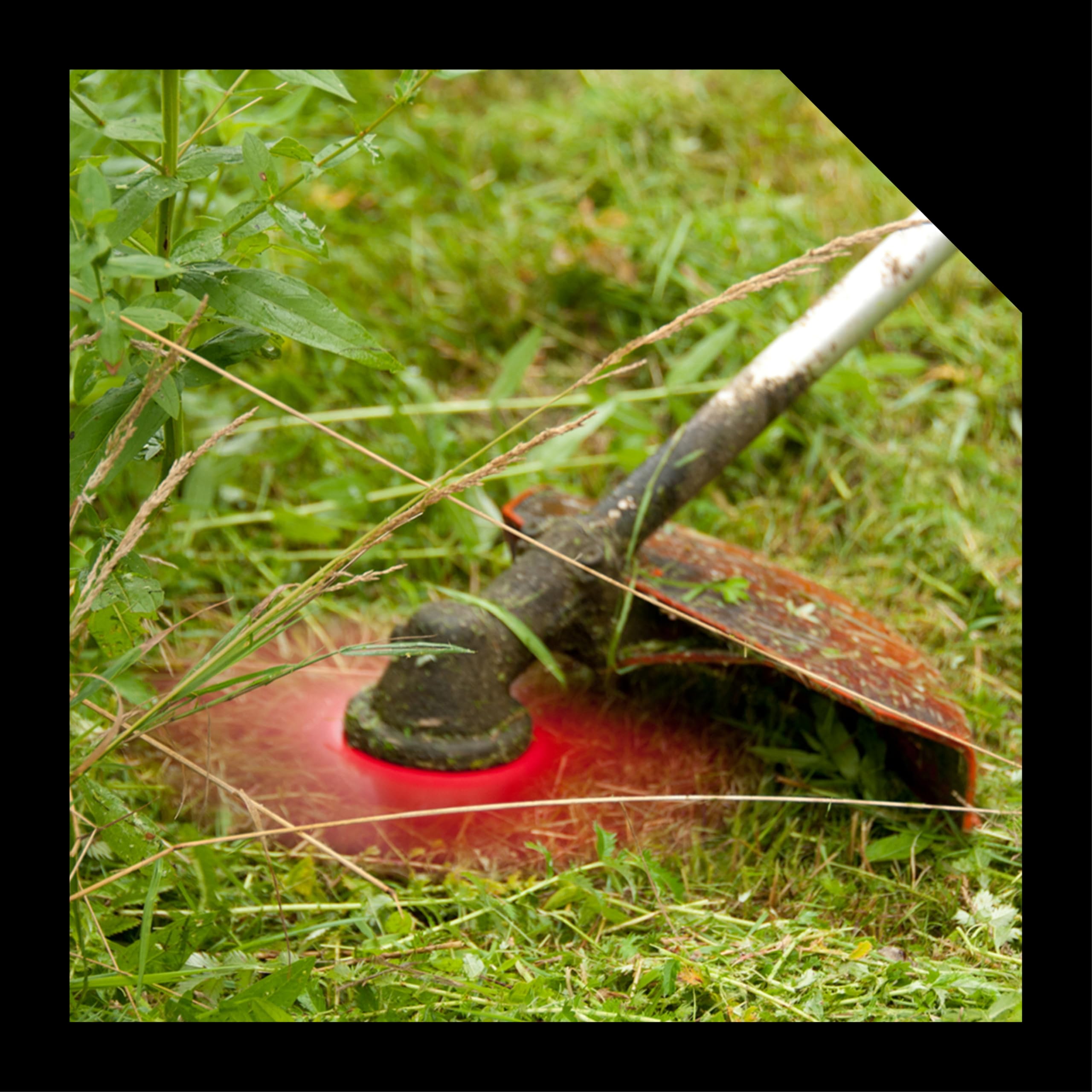 Lame de débroussailleuse Oregon 3,0 x 300 mm, lame universelle à 3 dents pour végétation haute et dense, compatible avec toutes débroussailleuses (Stihl, Echo, Husqvarna, etc.), réf. 295497-0