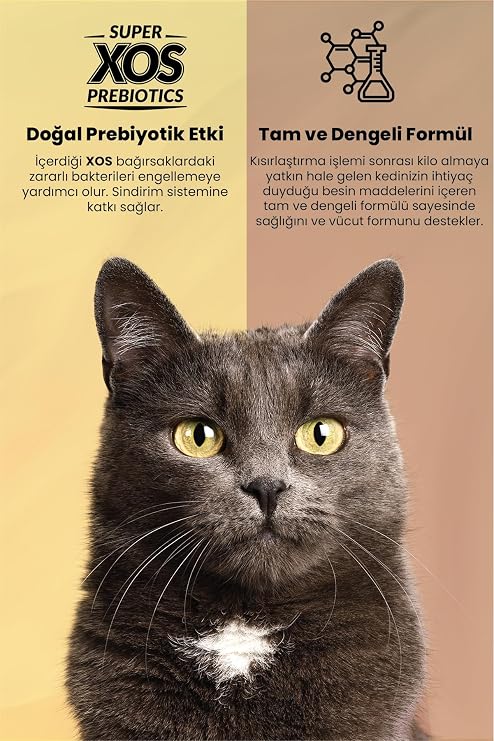 Reflex Plus Chicken Meat Cat Food for Adult Cats, 15 kg