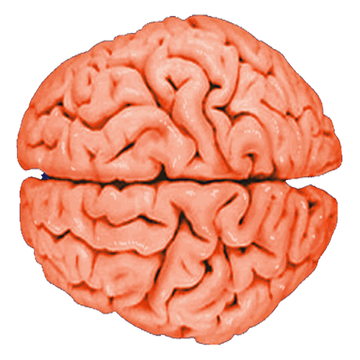 10 Best Top 10 Sacral Wedges Reviews & Comparison of 2022