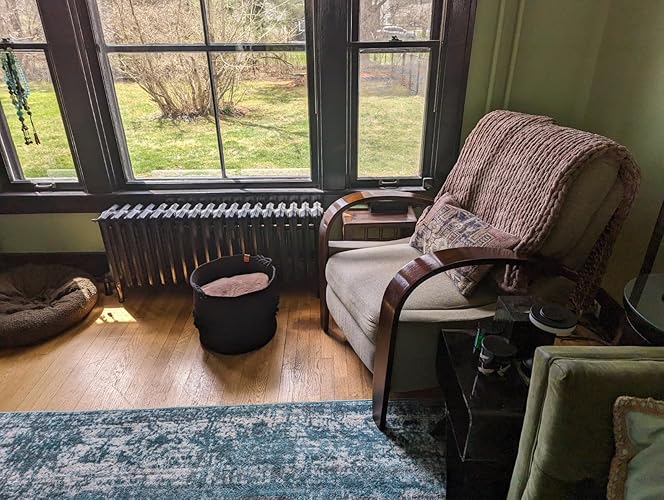 Review Image by Glencora