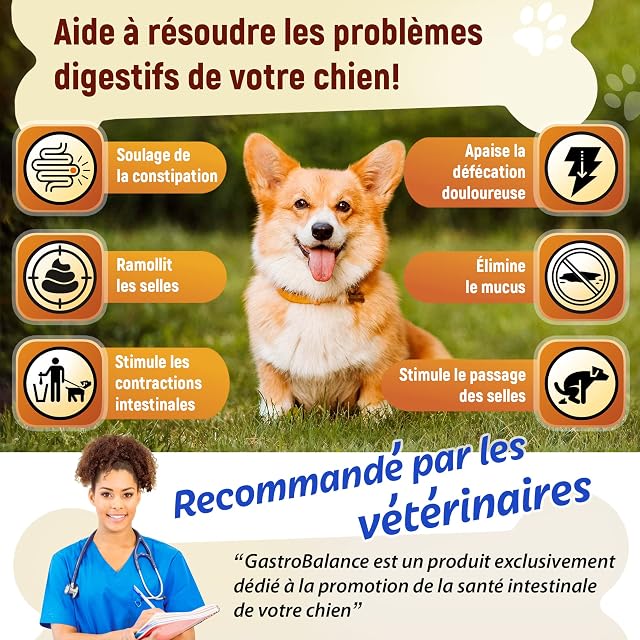 Foto 5 de 8 de GastroBalance Alivio del estreñimiento para perros - 100% ingredientes naturales suavizantes de heces Perros